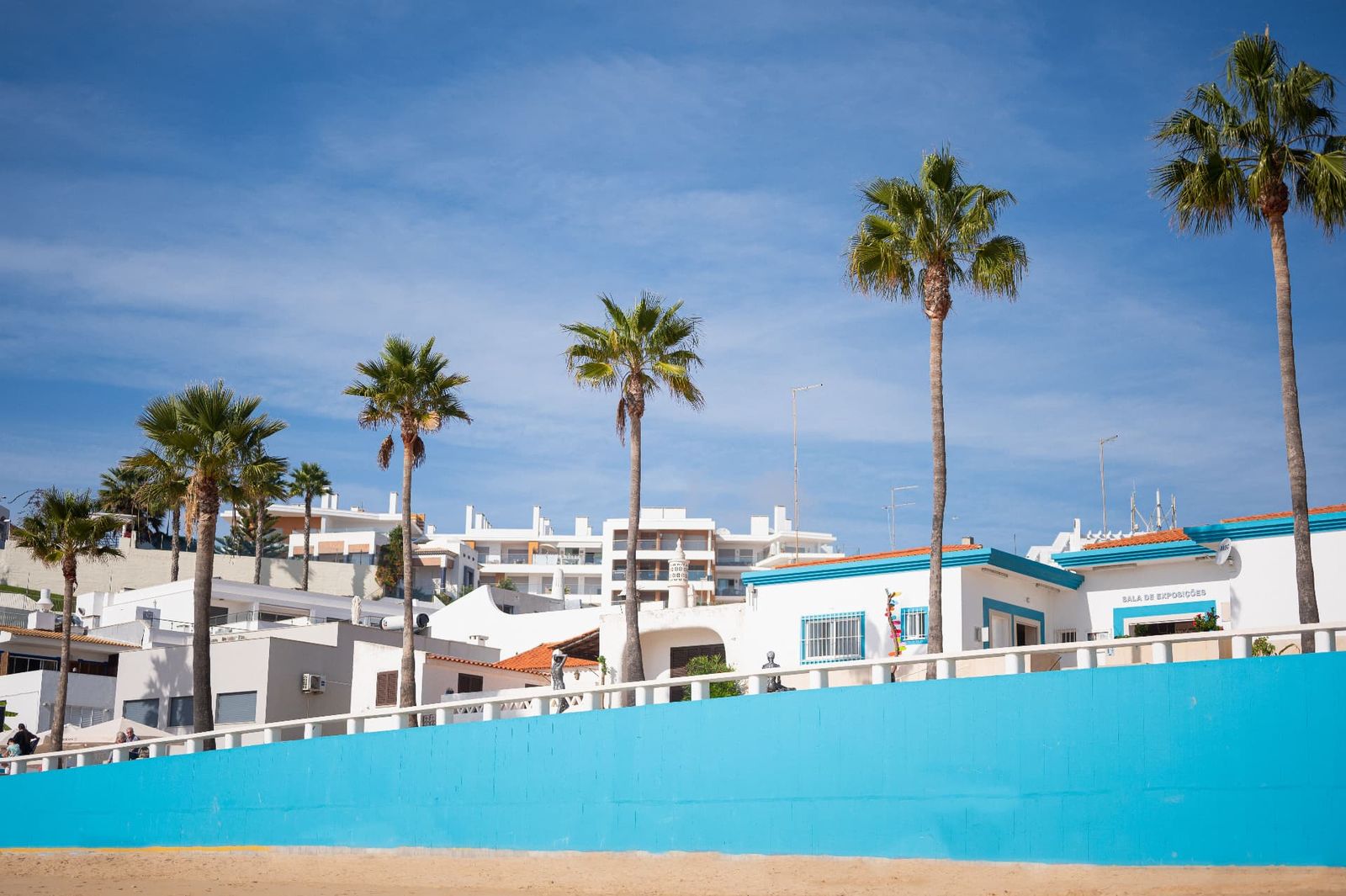 Palm trees in front of white buildings on a summer street